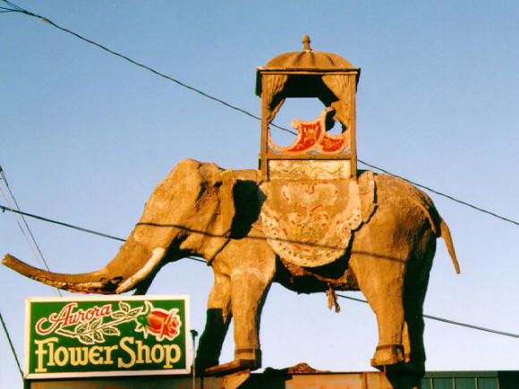 Flower Shop Elephant